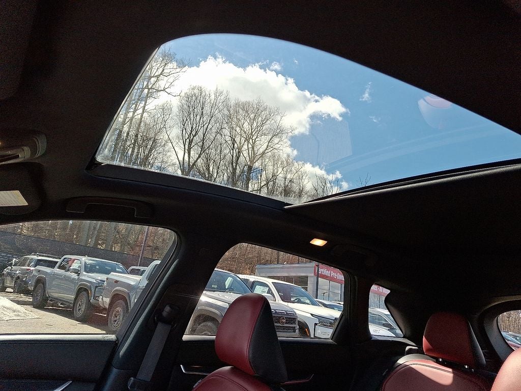 2023 INFINITI QX50 SPORT AWD